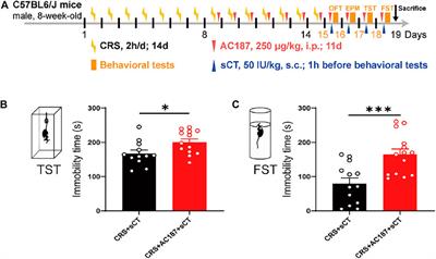 Salmon Calcitonin Exerts an Antidepressant Effect by Activating Amylin Receptors